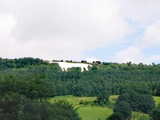 ריפון Grange Farm Lodge מראה חיצוני תמונה